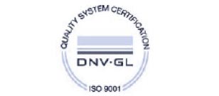 DnVE